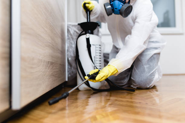 Best Wasp Removal Services  in Middletown, CT