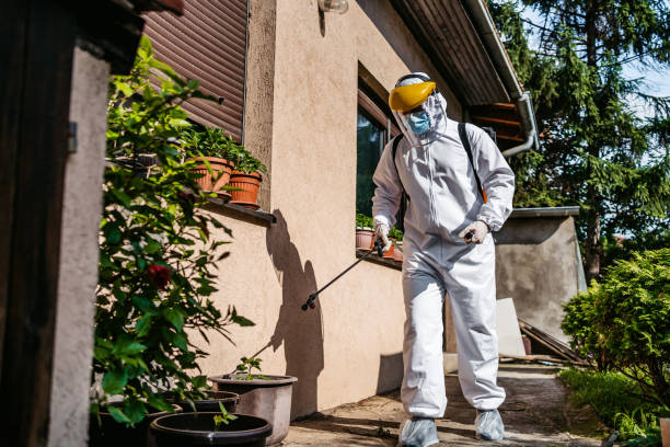 Best Best Pest Control Companies  in Middletown, CT