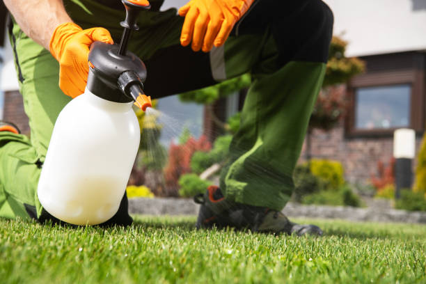 Best Bed Bug Extermination  in Middletown, CT
