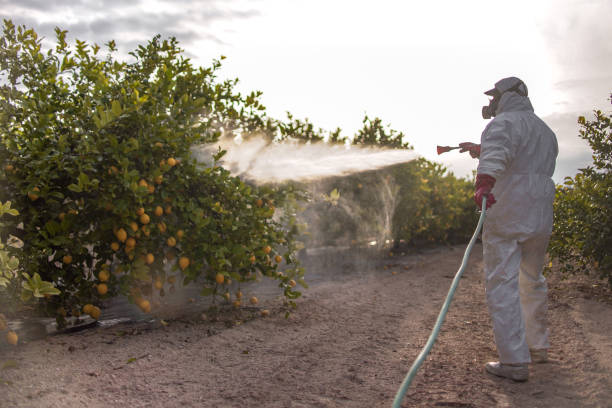 Pest Prevention Services in Middletown, CT