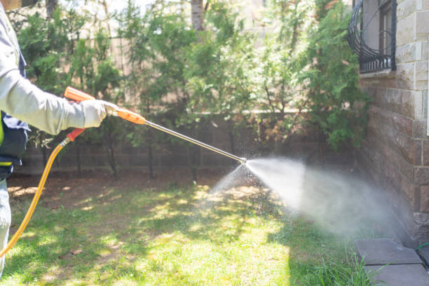 Best Bed Bug Extermination  in Middletown, CT