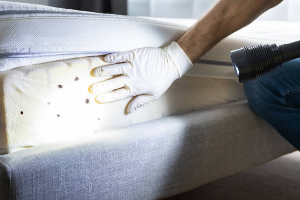 Best Pest Removal Services  in Middletown, CT
