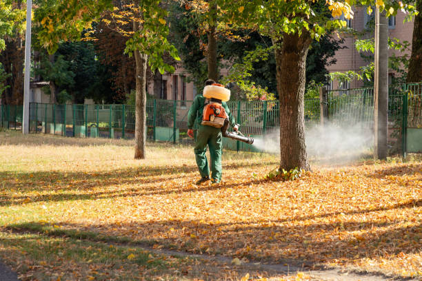 Best Flea Control Services  in Middletown, CT