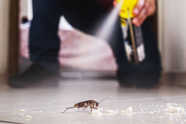 Wildlife Control Services in Middletown, CT