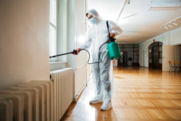 Best Rat Extermination Near Me  in Middletown, CT