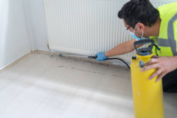 Best Ant Control Services  in Middletown, CT